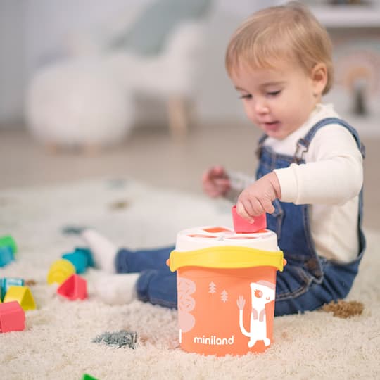 Miniland Feel to Learn Salmon Shape Sorting Bucket Set